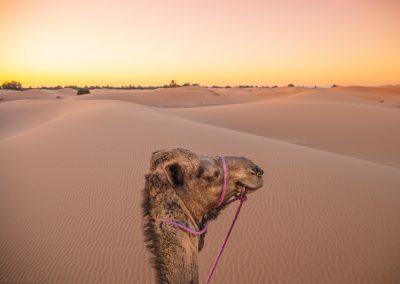 Tour de 9 días Tanger Merzouga ciudades imperiales del desierto